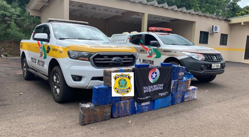 PMRvSC apreende quase 200kg de maconha