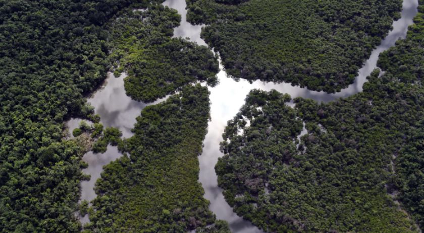 Inpe: taxa de desmatamento na Amazônia cai 22%