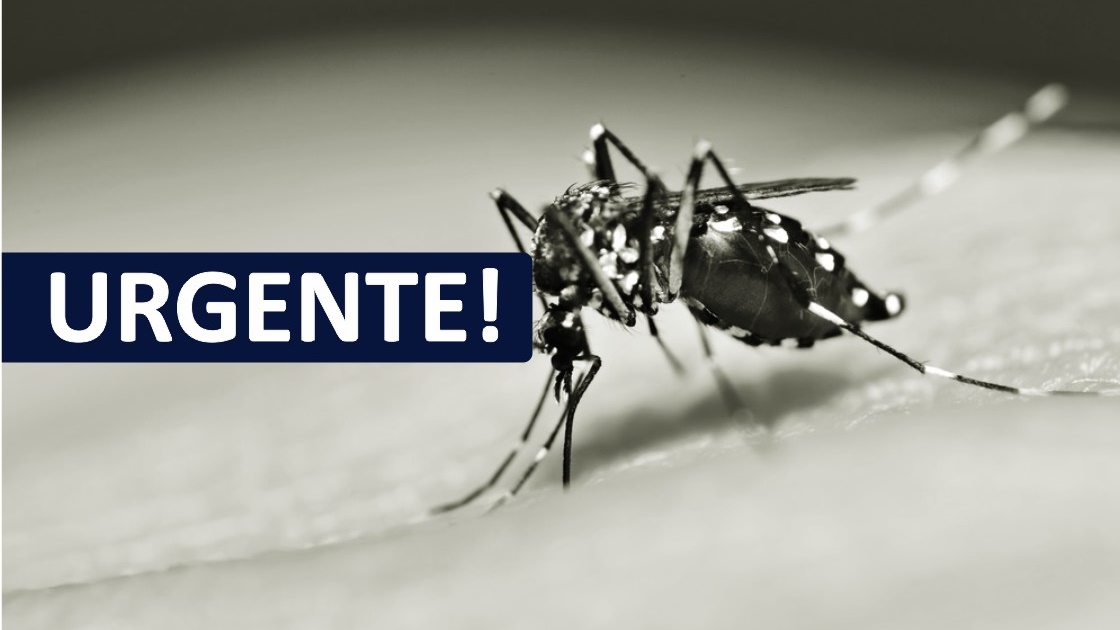 Brasil se torna o país com mais casos de dengue no mundo e SC é o 4º Estado com casos prováveis