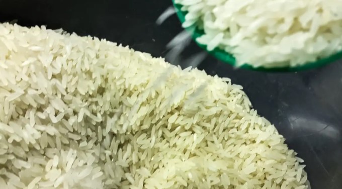 Conab vai doar sementes de arroz para agricultores familiares do RS