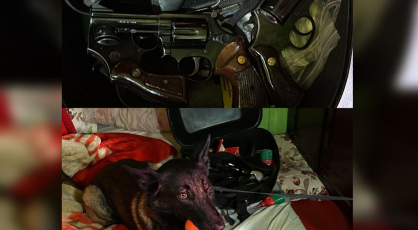 Polícia Civil cumpre mandado e apreende armas de fogo