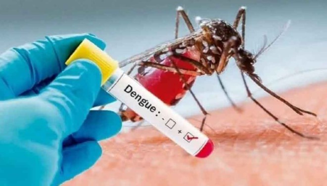 Mortes por dengue superaram as por Covid-19 em 2024, segundo Ministério da Saúde