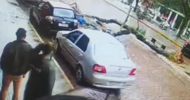 Árvore cai em cima de mãe e filho no RS