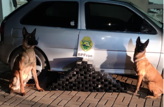 BPFRON apreende 54kg de maconha e prende jovem de 23 anos
