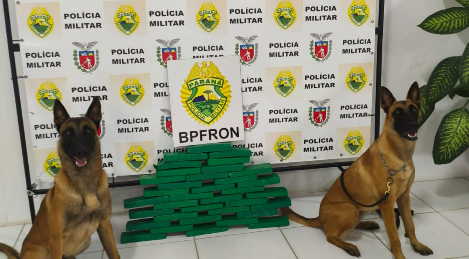 Cães do BPFRON encontram droga escondida em ônibus durante fiscalização