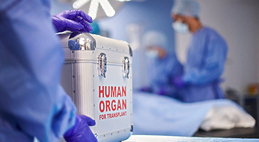 Brasil bate recorde de transplantes e anuncia melhorias no SUS
