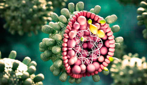 Doença sexualmente transmissível pode ser a mais infecciosa do mundo até 2040