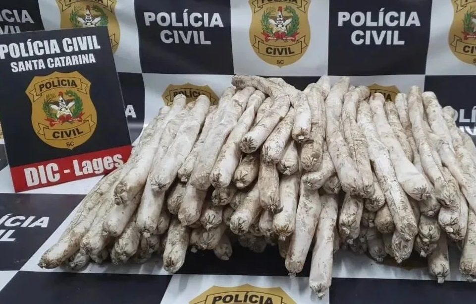 Operação prende 3 suspeitos que planejavam ataques com explosivos em prisão de Lages