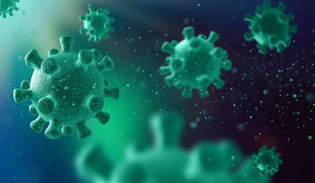 Europa fecha fronteiras após surto de vírus altamente contagioso