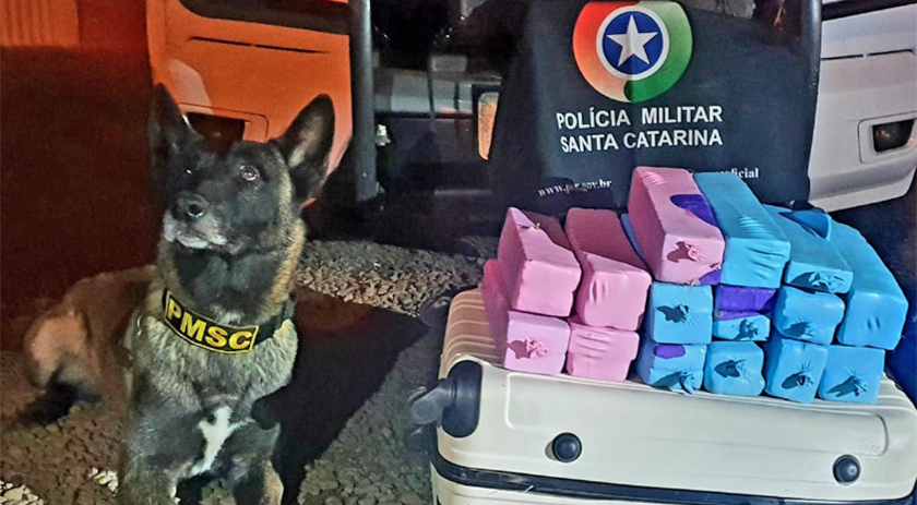 Quase 25kg de maconha e mais de 500 garrafas de vinho são apreendidas pela PM