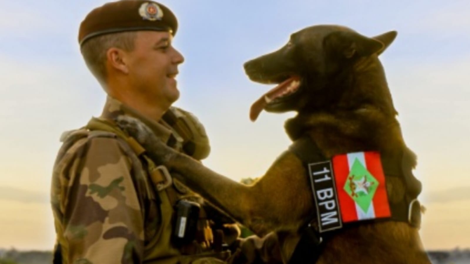 Depois de oito anos de serviços prestados, o cão de faro Axel, foi aposentado