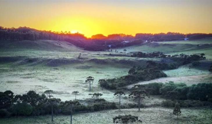Em pleno verão, Santa Catarina registra primeira geada de 2023