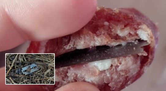 Lâminas escondidas em salame colocam animais em risco no Oeste de SC