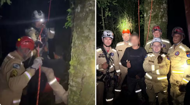 Jovem fica preso no topo de araucária ao colher pinhão e é resgatado no Paraná