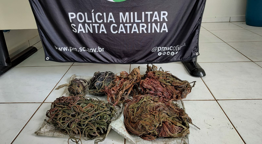 Homem é preso após furtar duzentos metros de fio da obra em que trabalhava