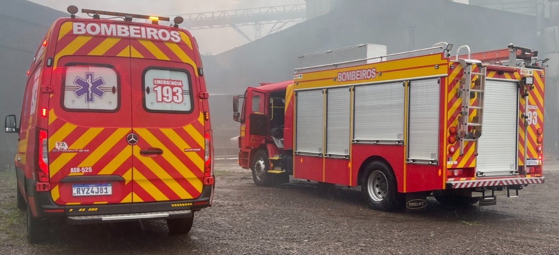 Dois homens morrem após queda de árvore no interior