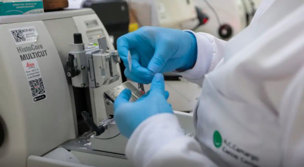 Nova lei amplia acesso a terapias e vacinas contra o câncer no SUS