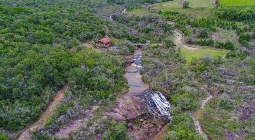 De olho num Carnaval natural? Parques do Paraná têm flora rica e cores exuberantes