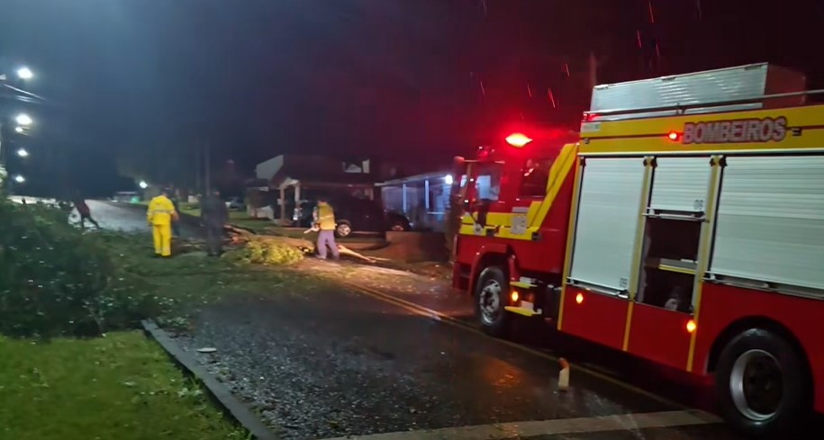 Queda de árvore e granizo mobilizam equipes na madrugada em Dionísio Cerqueira e Barracão