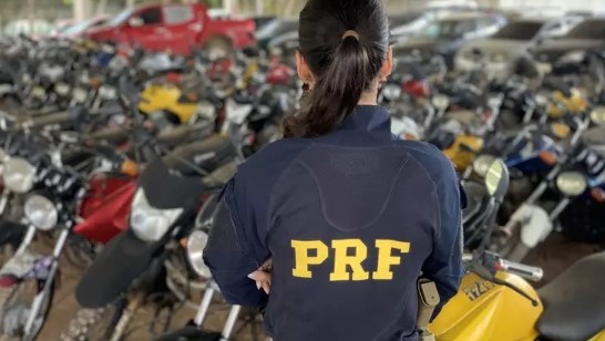 PRF de SC leiloa mais de 300 veículos apreendidos; confira como participar