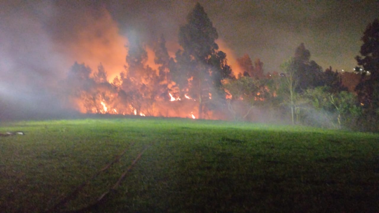 Incêndio em grande área de vegetação mobiliza bombeiros por cerca de 3 horas
