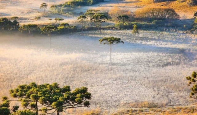 Por que o inverno começa às 17h51 da próxima quinta-feira (20)? Entenda