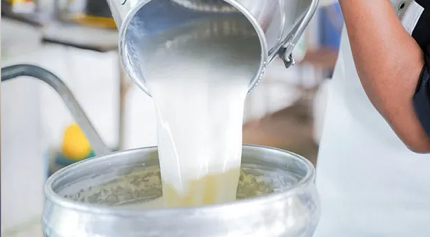 Após ‘competir’ com gasolina, preço do leite deve começar a cair
