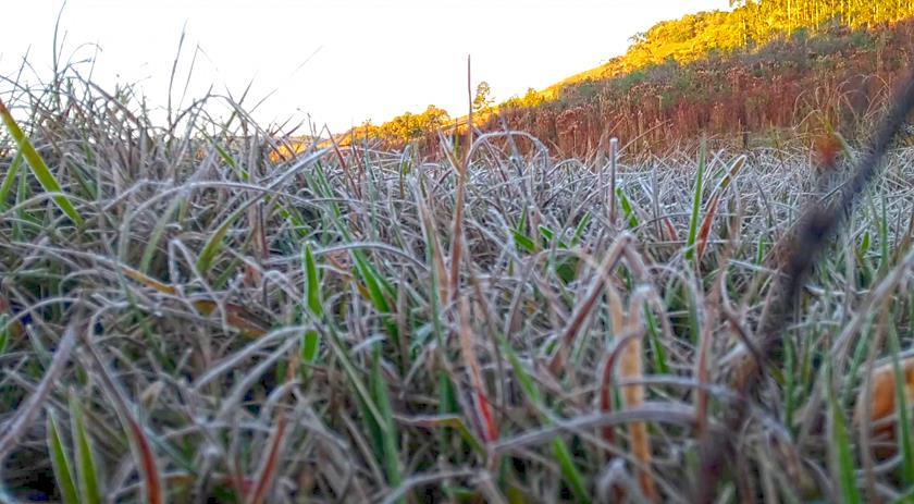 Santa Catarina deve ter transição para o inverno mais quente e com alívio na estiagem no Oeste