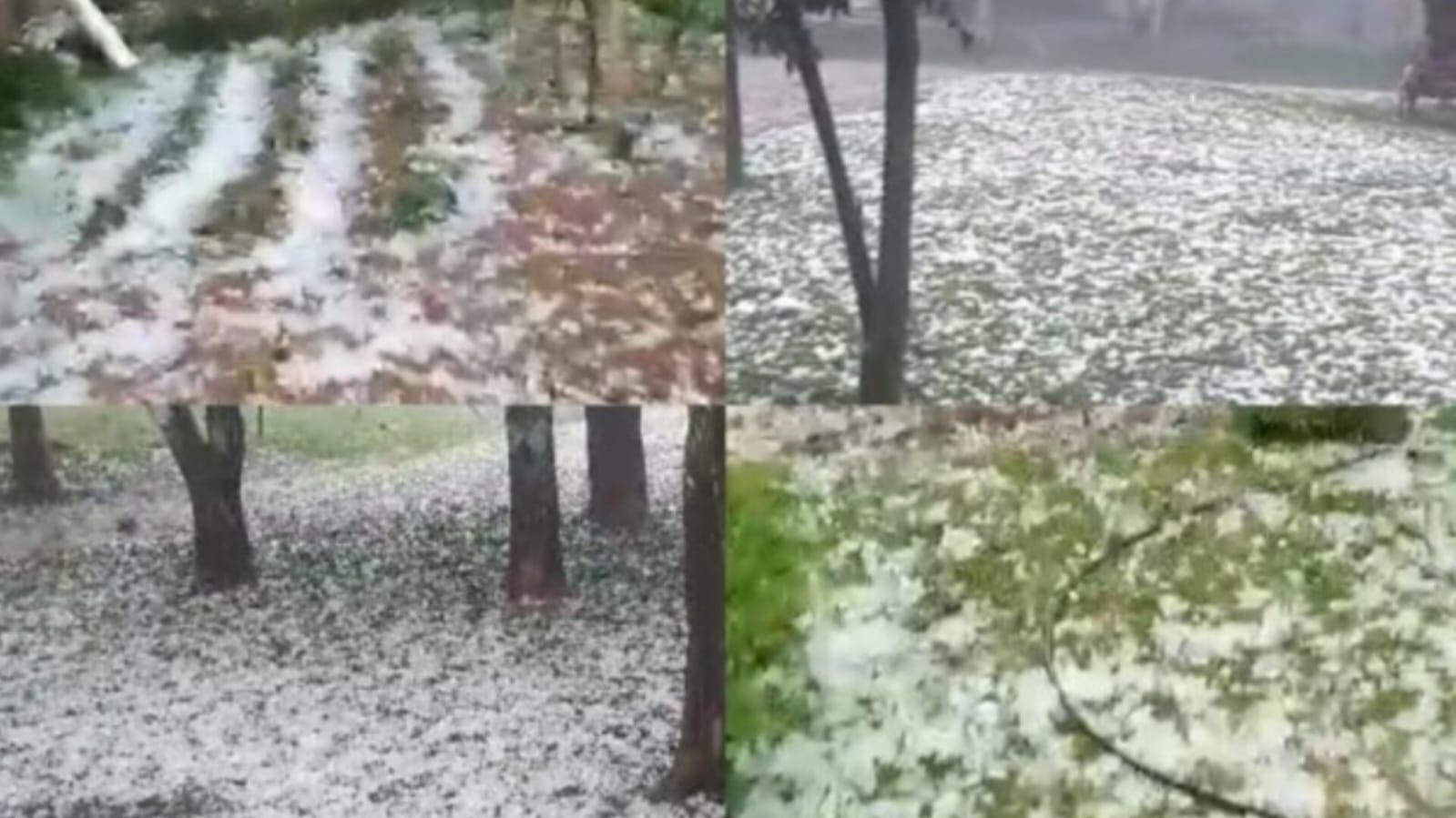 Tempestade de granizo devasta plantações