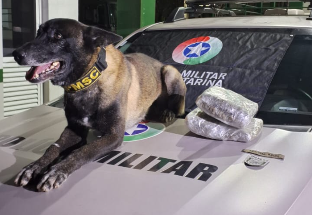 Droga é apreendida em operação com Exército Brasileiro na rodoviária