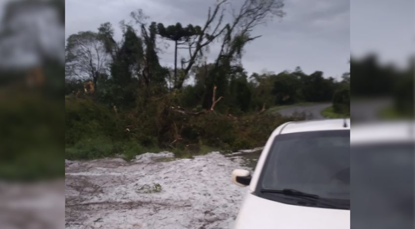 Tempestade com granizo causa danos na agricultura e na infraestrutura no Sudoeste