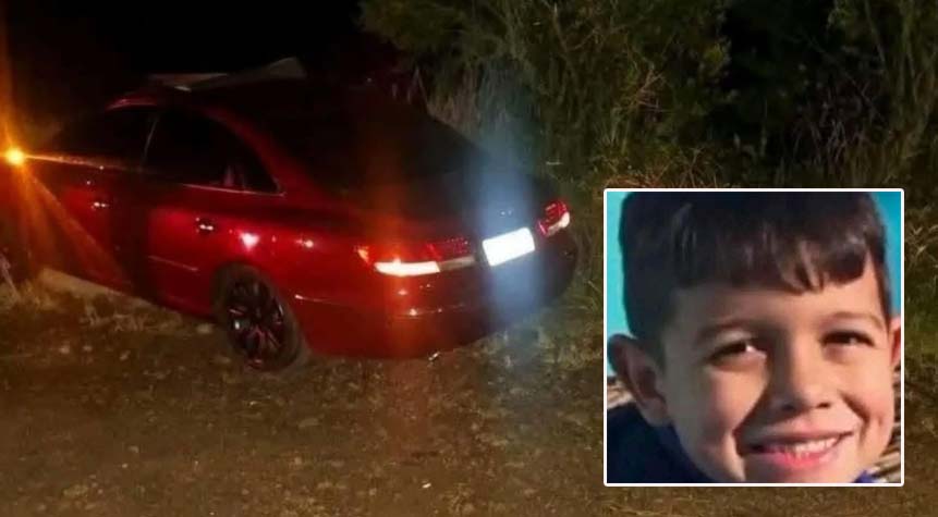 Menino de 10 anos morre após carro atingir cavalos na PR-456, no Paraná