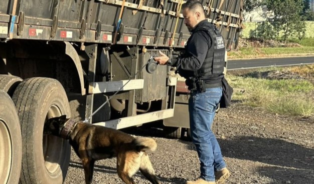 Operação FARO intensifica fiscalização e combate ao crime no Oeste catarinense com apoio de cães policiais