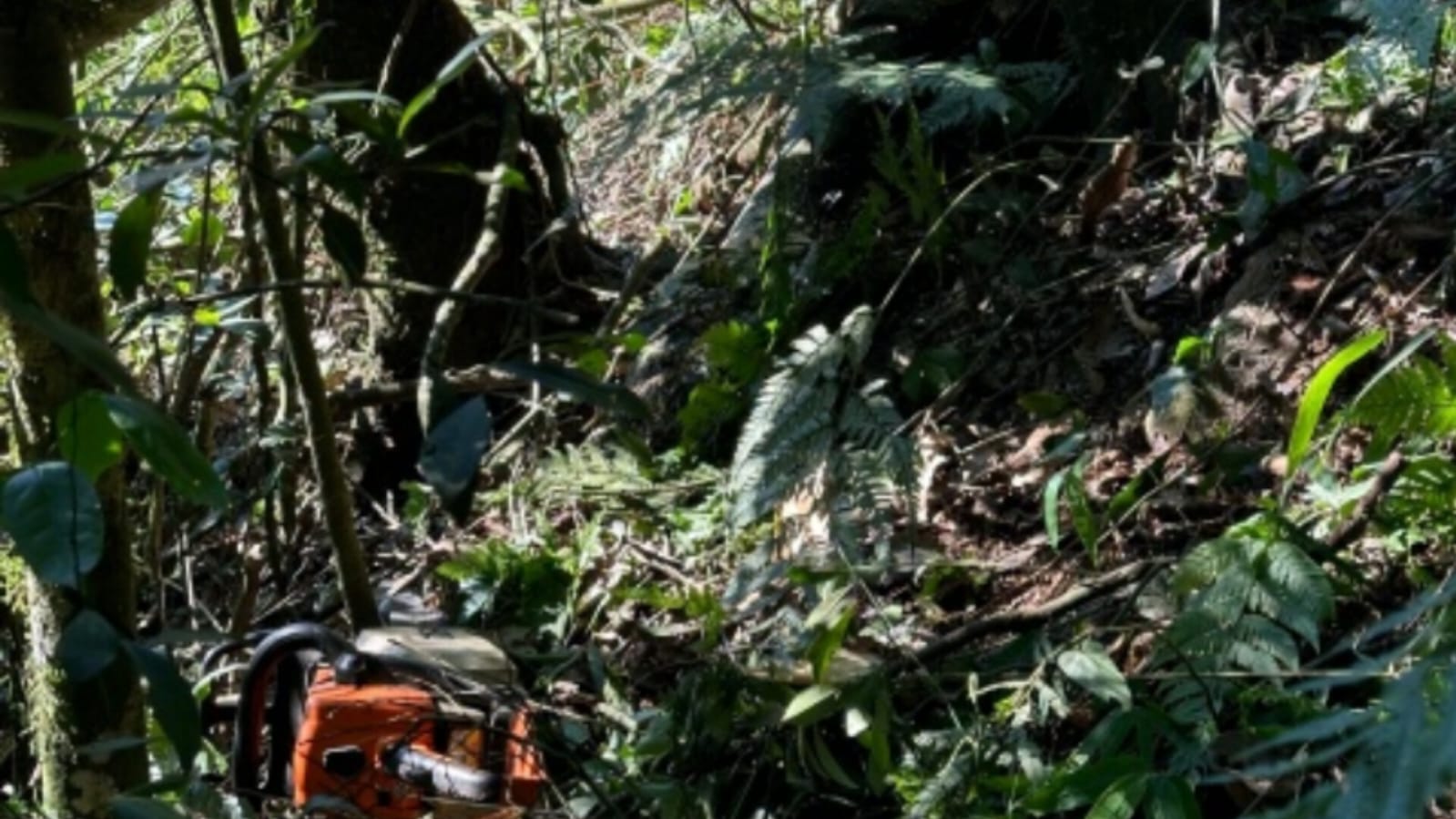 Idoso é encontrado morto numa ribanceira no interior de Caibi