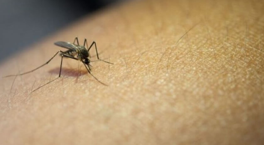 Chapecó registra primeira morte por dengue de 2024