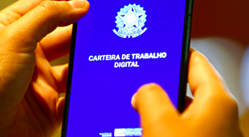 Mais de 74 mil novas vagas de emprego são abertas em SC; veja setores que mais crescem em 2025