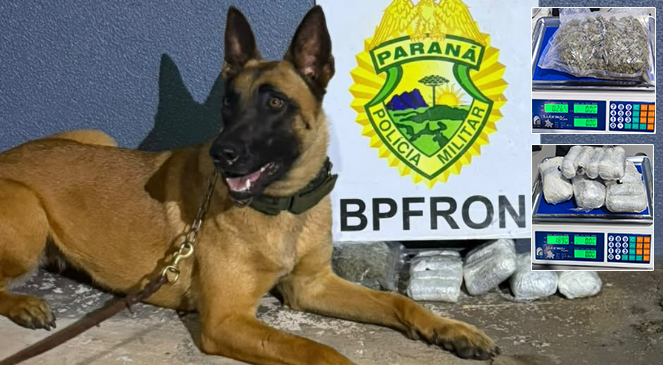 BPFRON prende jovem de 18 anos com maconha e haxixe