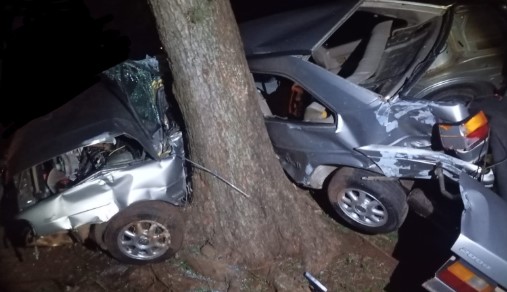 Jovens ficam gravemente feridos após carro sair da pista e bater contra árvore na SC-160