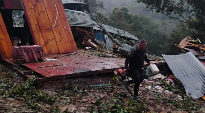 Árvore cai sobre residência durante temporal