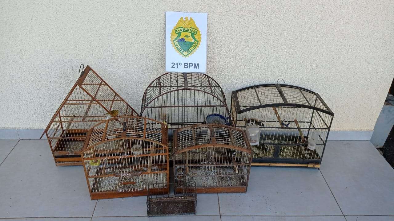 Homem é preso por maus-tratos a animais e posse irregular de arma