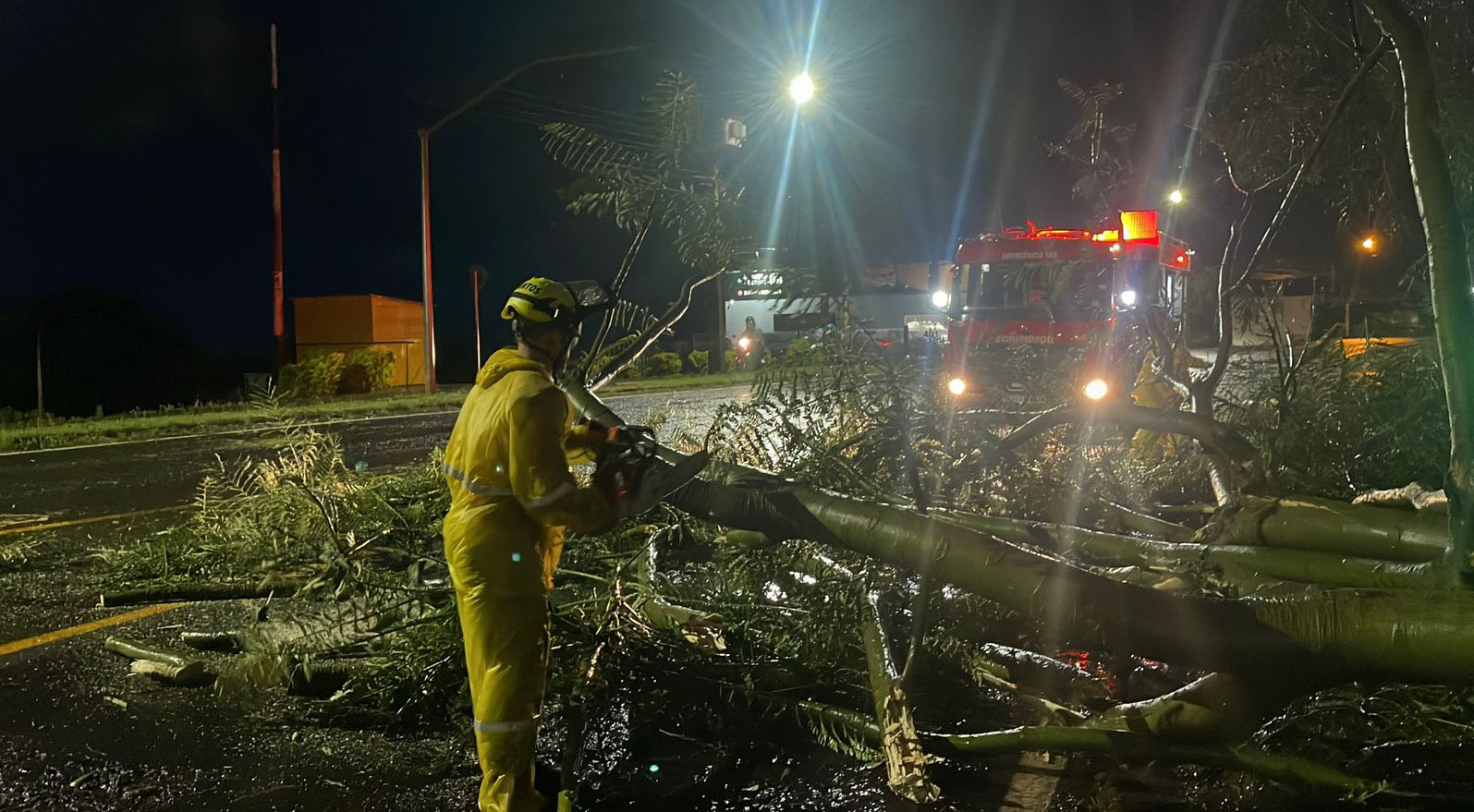 Vendaval violento atinge a Tri-Fronteira, derruba árvore, destelha casas e mobiliza equipes de emergência