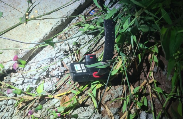 PM localiza tornozeleira eletrônica ao procurar autor de furto em loja