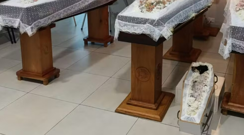 Pai, filhas e cachorrinha morrem em acidente e são velados lado a lado em Mato Grosso do Sul