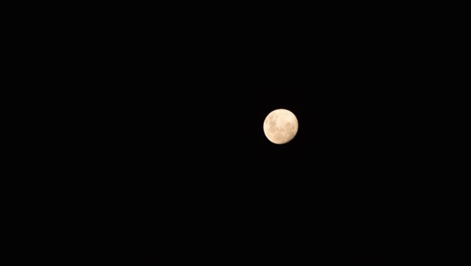 Lua do Lobo: saiba mais sobre a primeira lua cheia de 2025