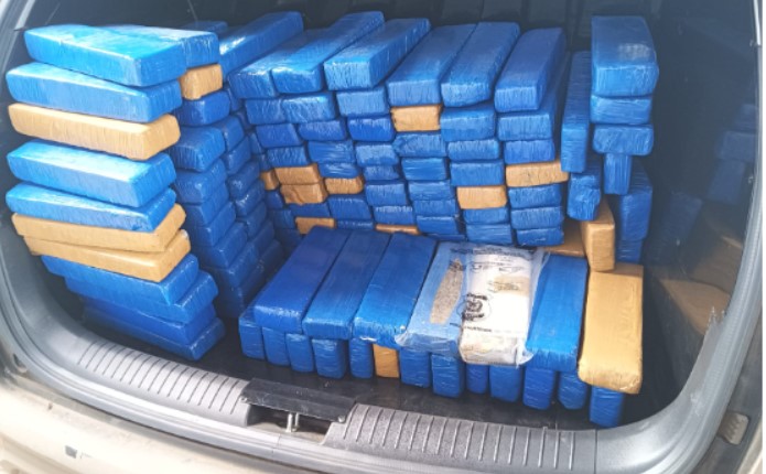 300 kg de drogas apreendidas na região de Pinhalzinho e Serra Alta são incineradas pela Polícia Civil