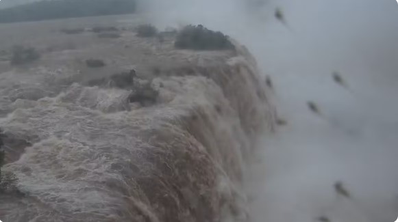 Cataratas do Iguaçu registram volume de água cinco vezes maior do que o normal