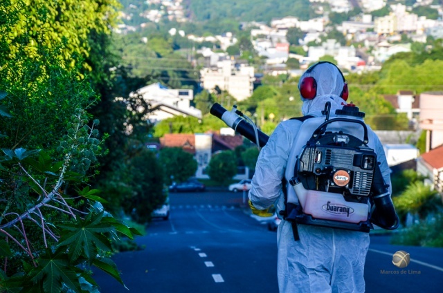 Entenda por que o sorotipo 2 da dengue preocupa as autoridades de saúde na região