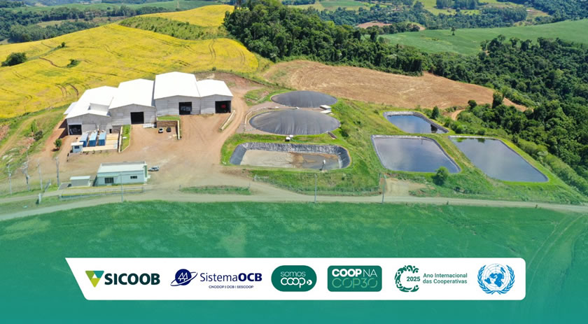 Sicoob São Miguel leva o cooperativismo catarinense à COP30