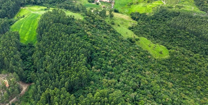 Governo abre inscrições para programa que paga agricultores por preservação ambiental