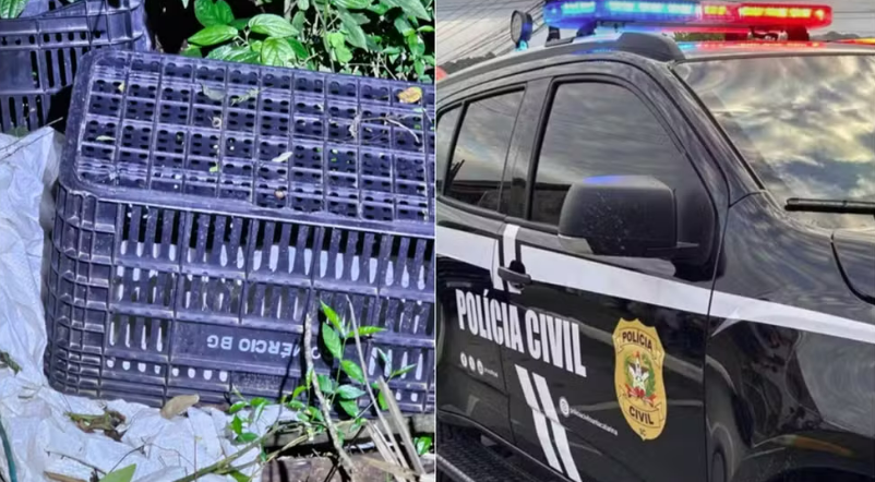 Corpo achado amordaçado pode ser de advogado venezuelano desaparecido em SC
